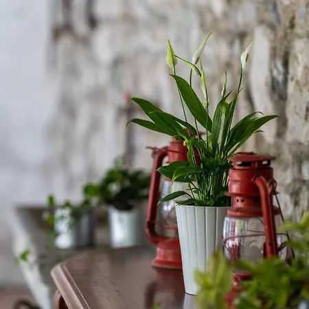 Sleep In Maison d'hôtes 3*