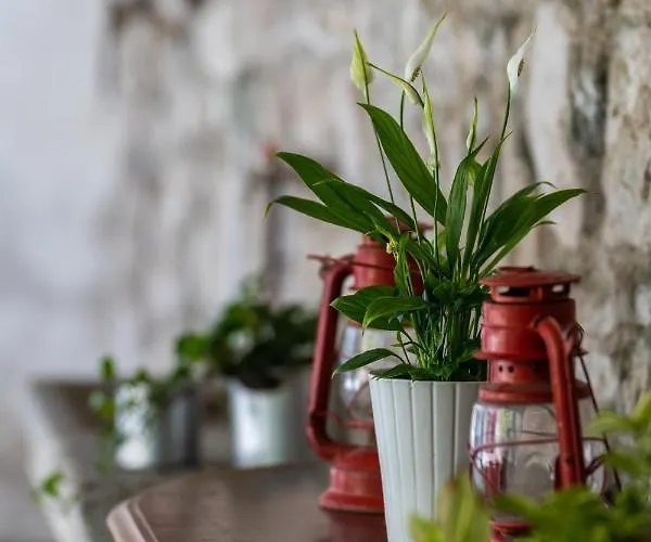 Sleep In Guest house 3*